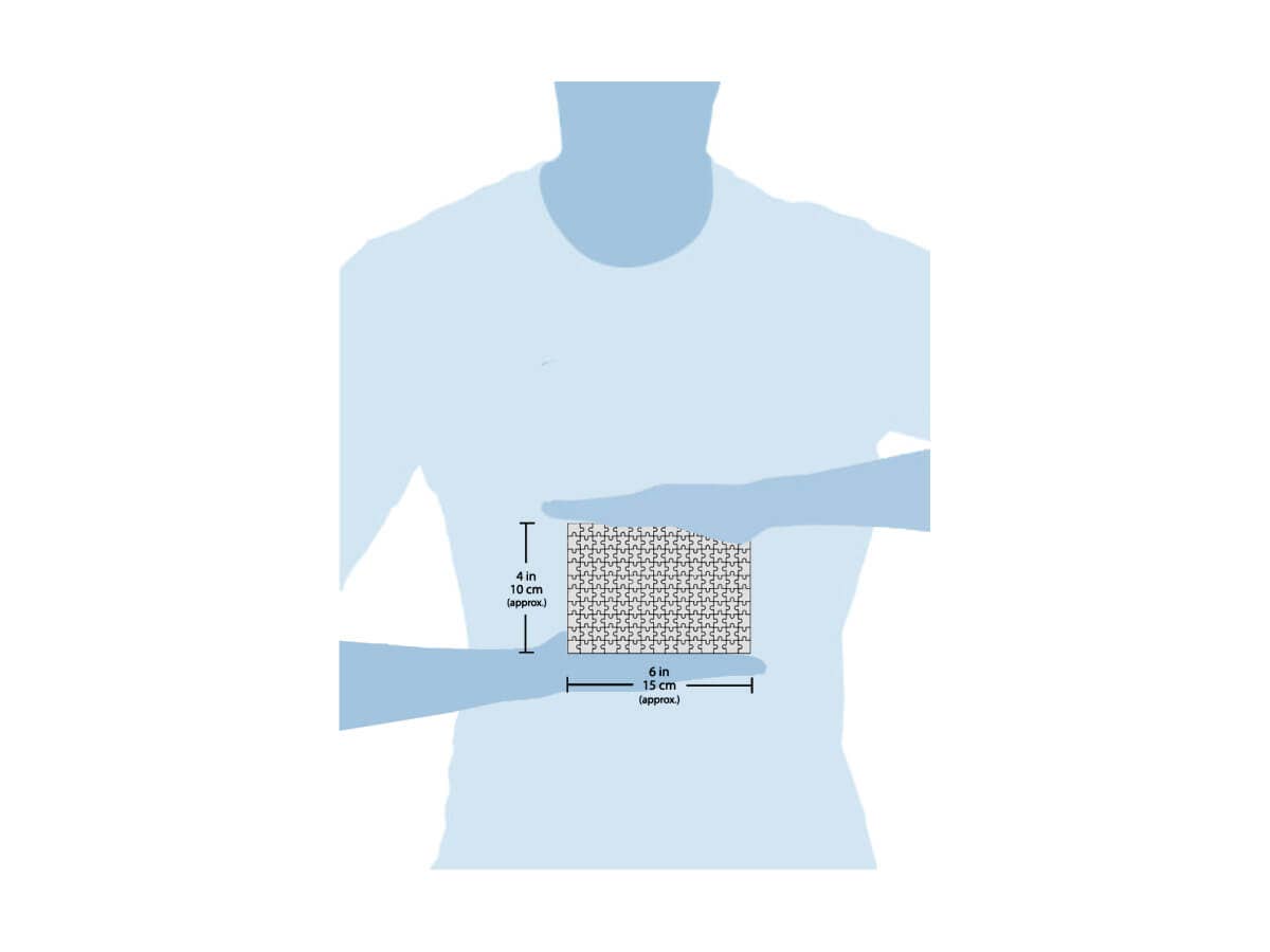 Sea Turtle - Marine Life for Outdoor Adventure